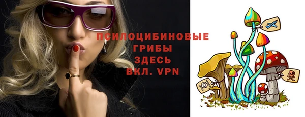 винт Арсеньев