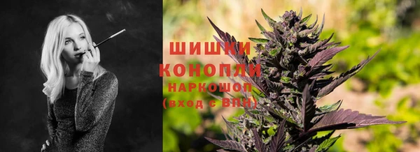 винт Арсеньев